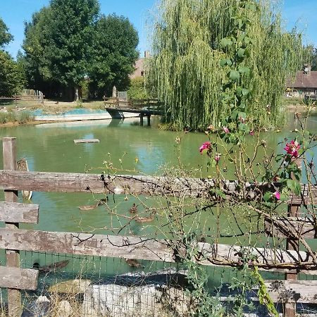 Ferme Bressane Les Arums Mervans Exterior foto